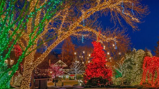 2020 Houston Christmas Light Limo Tours, Houston Holiday Lights Limousine Tour